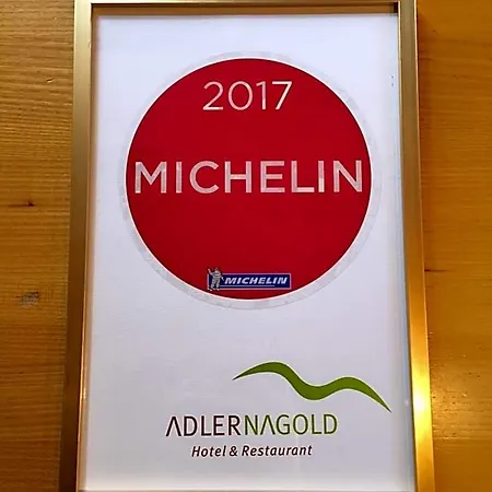 Adler 호텔
