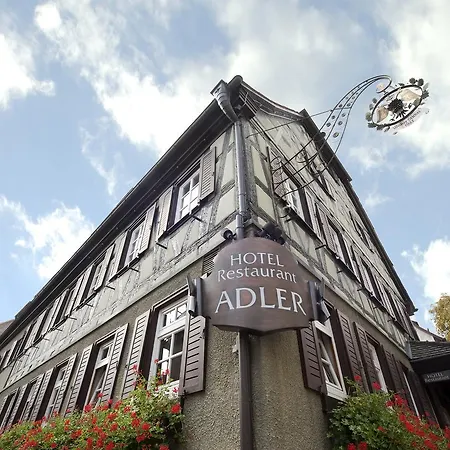 Adler Hotel 3*