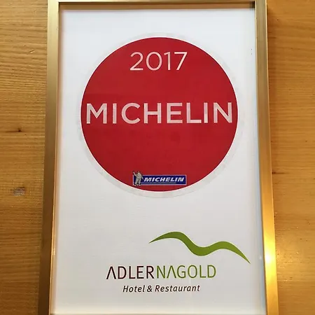 Adler 호텔 나골트
