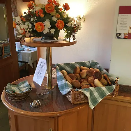 Adler Hotel 3*